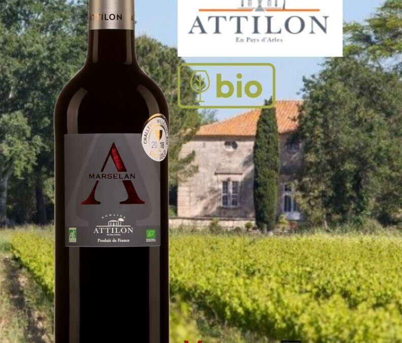 Une appellation et un cépage à découvrir absolument! Marselan, bio, Domaine Attilon, Méditerranée IGP.