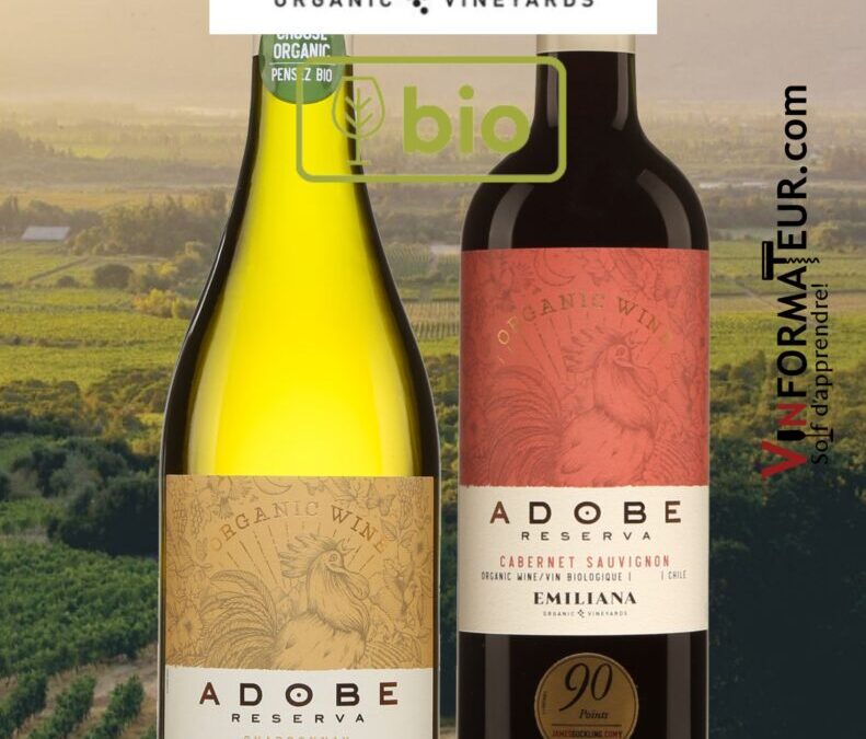 Deux très beaux vin bios du Chili! Adobe Reserva.