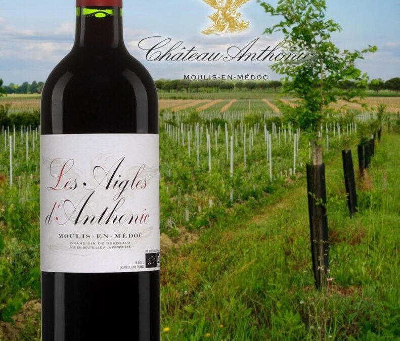 Un beau vin rouge bio de l’appellation Moulis. Les Aigles d’Anthonic!