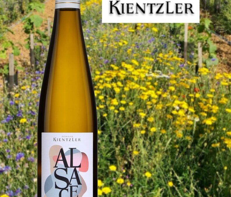 J’ai beaucoup aimé ce Riesling d’Alsace de la maison Kientzler!