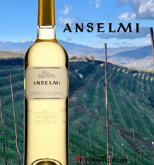 Que j’aime donc ces vins là!! Anselmi, Capitel Foscarino 2019