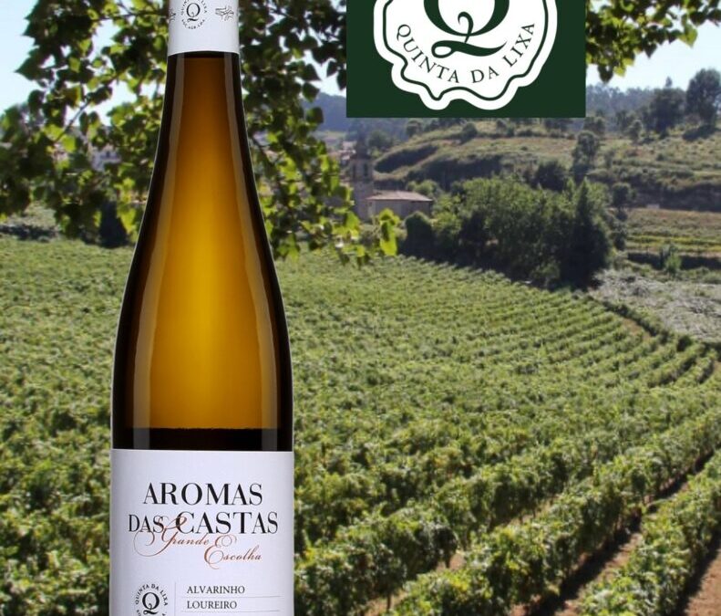 Aromas das Castas! Un très beau vin blanc du Portugal!