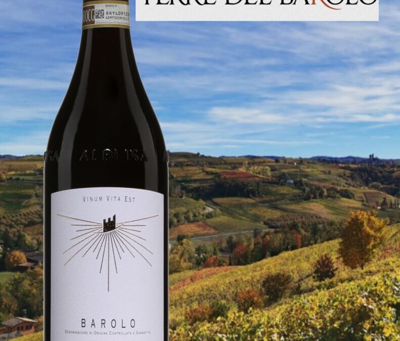 Allez! Essayez le Nebbiolo avec ce Terre del Barolo 2016!