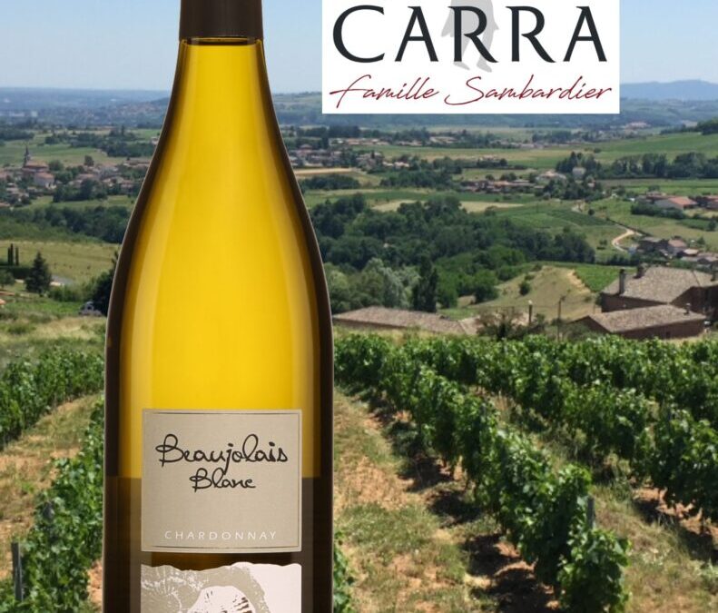 Oh que j’aime ce Beaujolais blanc! Manoir du Carra, 2021.