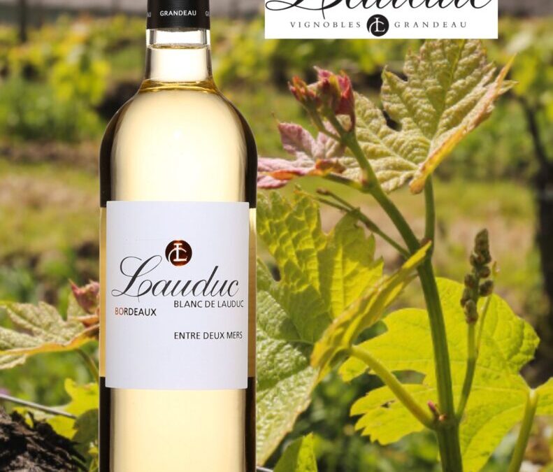 Très beau rapport qualité/prix! Blanc de Lauduc, Entre Deux mers 2022.