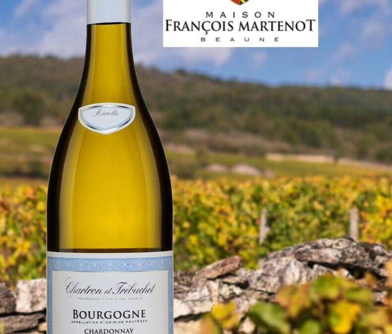 Coup de Coeur de Bourgogne! Chartron & Trébuchet 2020.