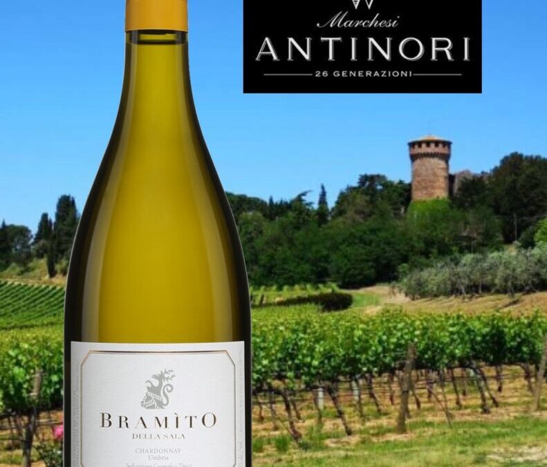 Un Chardonnay riche, bien fruité et d’une belle vivacité. Le Bramito della Sala 2020.