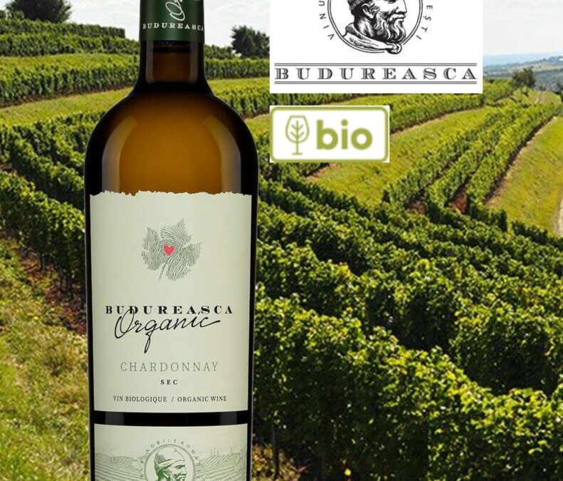 Budureasca, un très beau vin blanc bio de Roumanie!