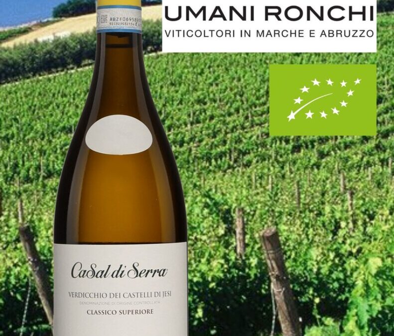 Un Verdicchio bio pur et éclatant comme je les aime!