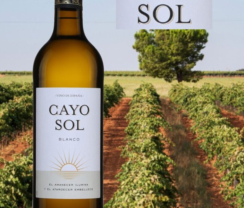 Un des vins blancs parmi les moins chers! Cayo Sol, Blanco.