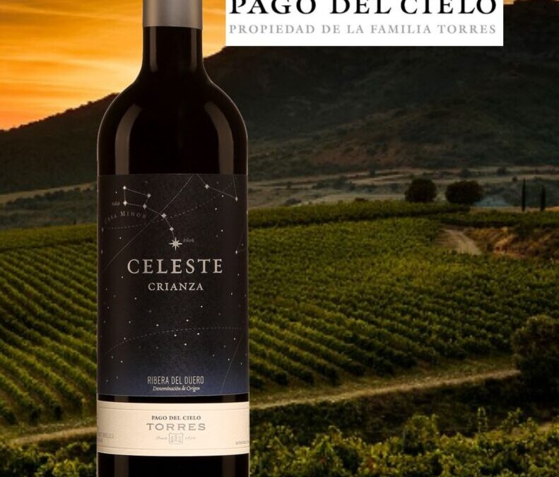 Un vin rouge Crianza bien charpenté et goûteux!