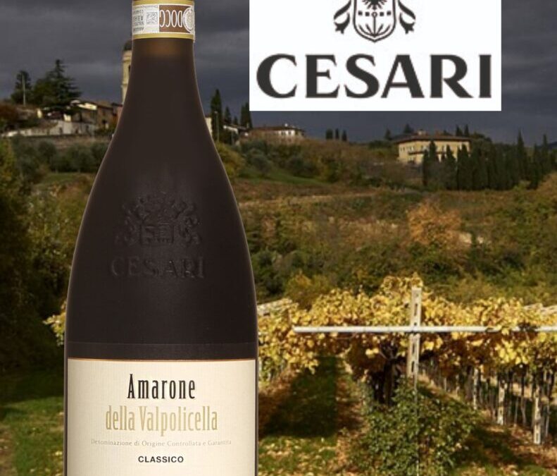 Quel plaisir de goûter l’amplitude aromatique d’un Amarone! Cesari, Amarone Classico 2016.