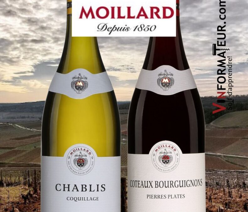Un Chablis et un Côteaux Bourguignons de la maison Moillard.