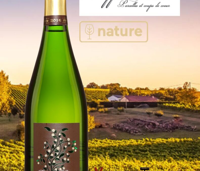 Un superbe Champagne Grand Cru! Fine Fleur, Extra Brut, Nature, Bio signé Philippe Lancelot.