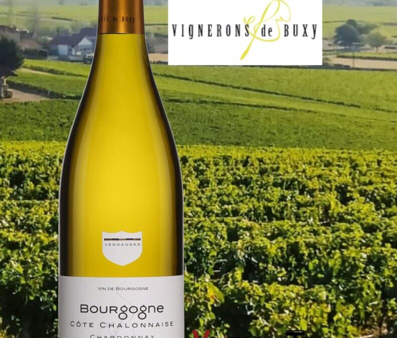 De belles découvertes en Côte Chalonnaise. Chardonnay, Buissonnier, 2020.