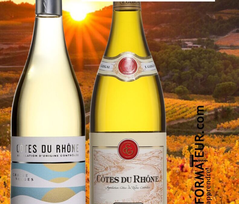 Deux délices en blanc des Côtes du Rhône!