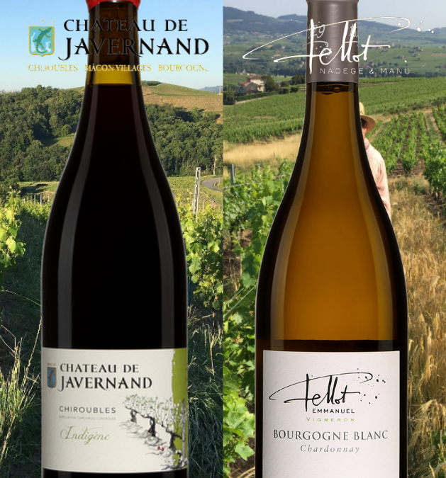Deux éblouissants vins nature du Beaujolais à découvrir!