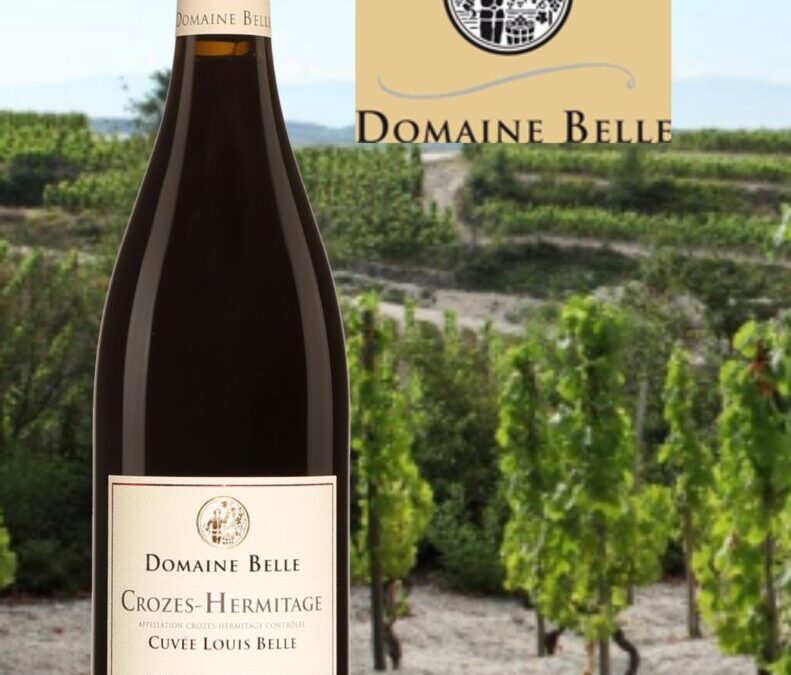Le berceau de la Syrah! Crozes-Hermitage.