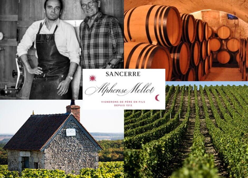 Visite du Domaine iconique Alphonse Mellot, véritable écrin du terroir de Sancerre.
