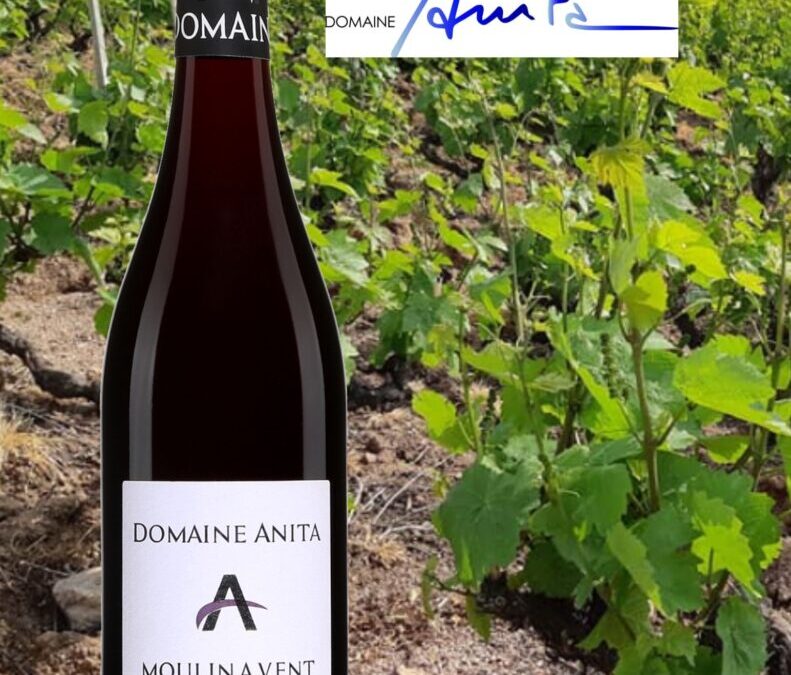 Coup de Coeur que ce Moulin-à-Vent, Très Vieilles Vignes Domaine Anita.