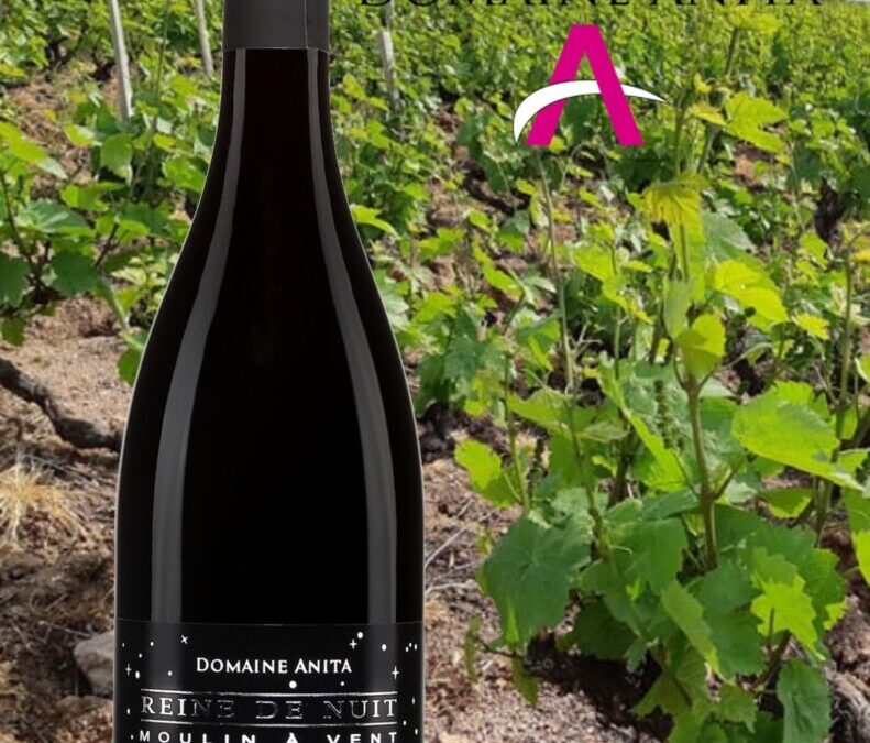 Aaaah… le superbe Beaujolais! Moulin-à-Vent, Reine de Nuit 2020.