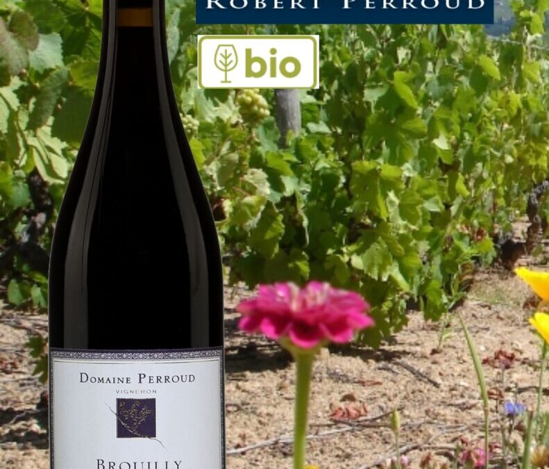 Un tout nouveau Brouilly bio! Domaine Robert Perroud, Brouilly, La Pente, 2020.