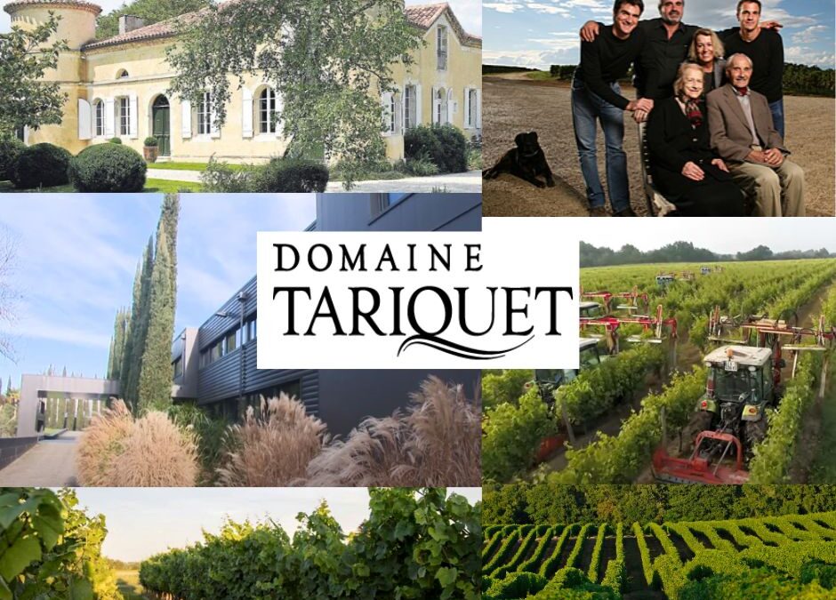 Redécouvrons les vins du Domaine Tariquet!