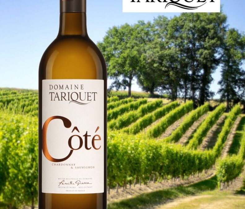 Un heureux assemblage de Chardonnay et de Sauvignon blanc! Tariquet, Côté 2021.