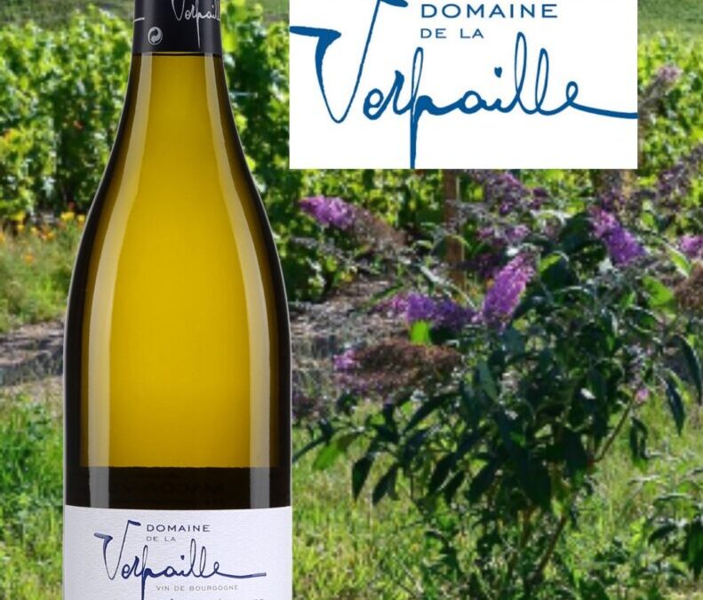 Vin blanc bio du Mâconnais. Un coup de coeur!