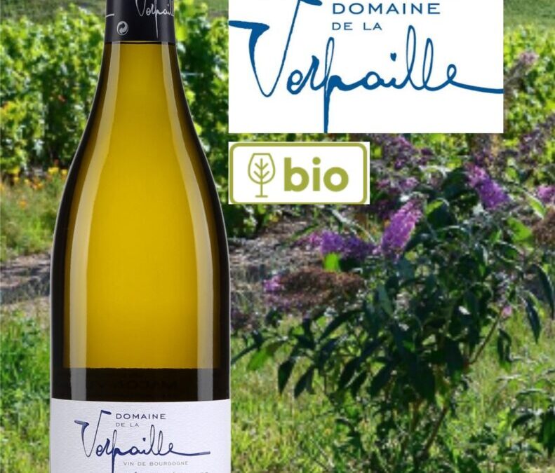 Un Mâcon-Villages bio issu de vignes centenaires! Domaine de la Verpaille, 2020.