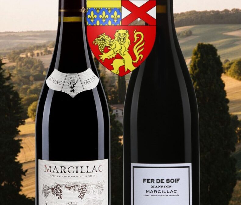À la découverte des vins de l’AOC Marcillac!