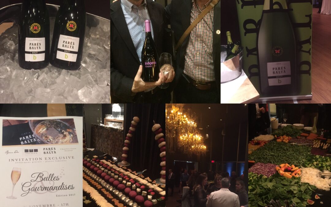 Un beau Cava pour fêter 2018! Le Pares Balta, Brut!