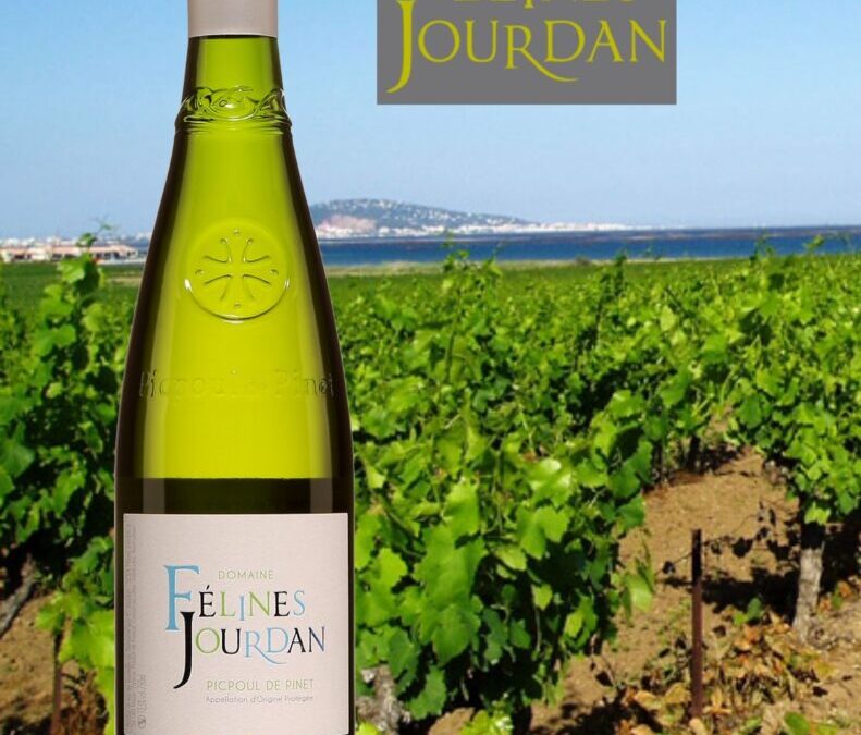 Félines Jourdan. Vin blanc Coup de Coeur!