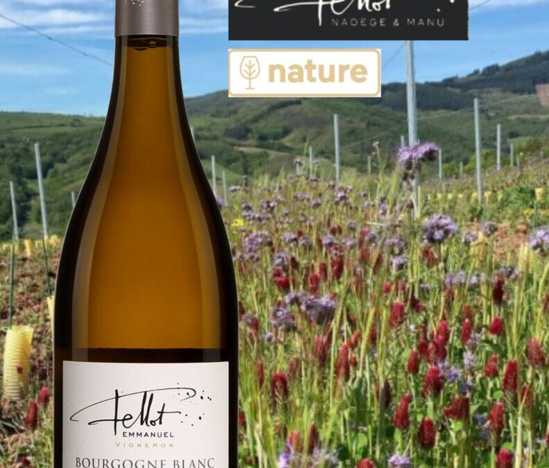 Coup de Coeur que ce Bourgogne blanc du Domaine Emmanuel Fellot 2020!!