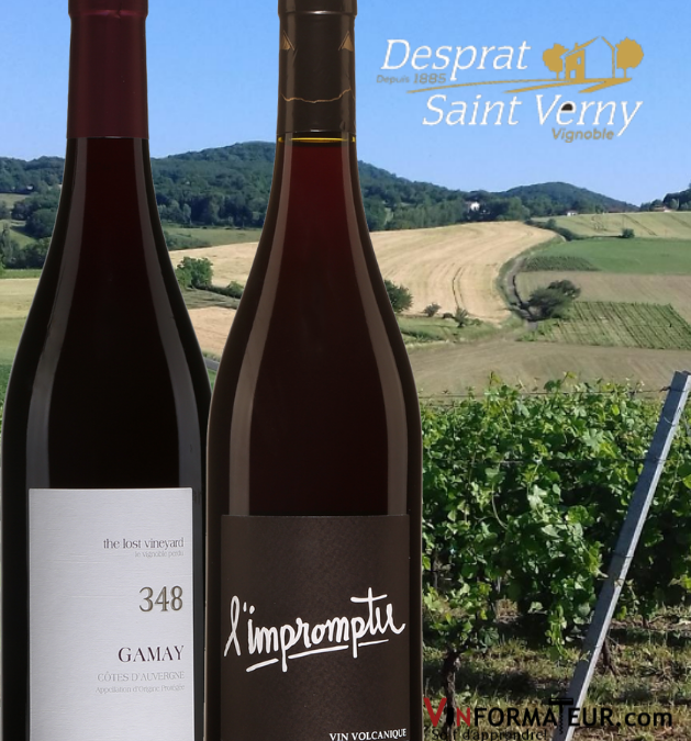 Découvrez les seuls vins volcaniques de France! Gamay 348 et l’Impromptu 2018.