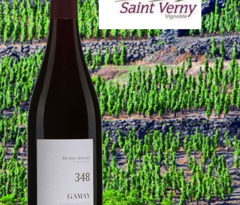 Un Gamay ‘’volcanique’’! Le 348, Lost Vineyard 2019.