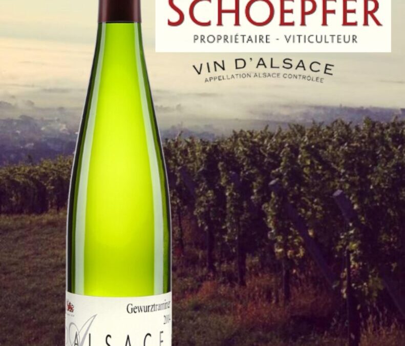 Un délicieux Gewurztraminer particulièrement bien typé. Jean-Louis Schoepfer 2018.