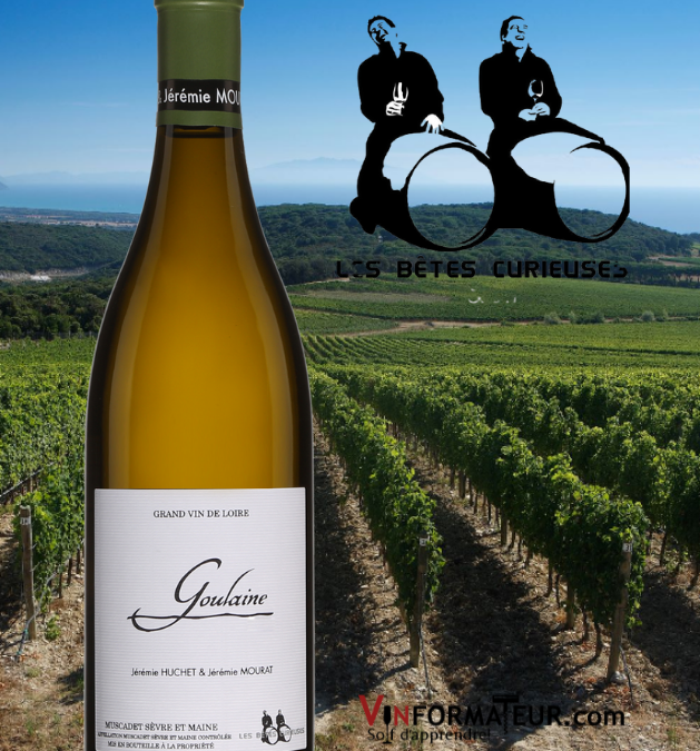 Coup de cœur que ce Goulaine, Les Bêtes Curieuses de Muscadet Sèvre et Maine!