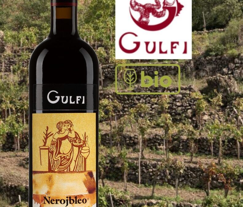 On achète! Gulfi Nerojbleo 2021 de la Sicile.