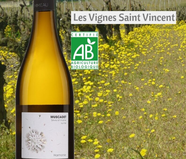 Un Muscadet de terroir! Harmonie de Michel Delhommeau 2020.