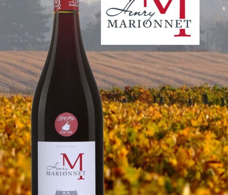 Coup de Coeur que ce Henry Marionnet Gamay 2020!