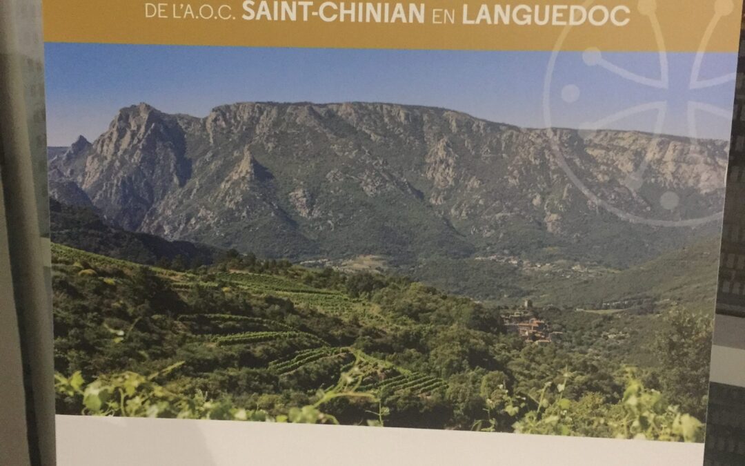 Salon des vins de Saint-Chinian, Languedoc, France