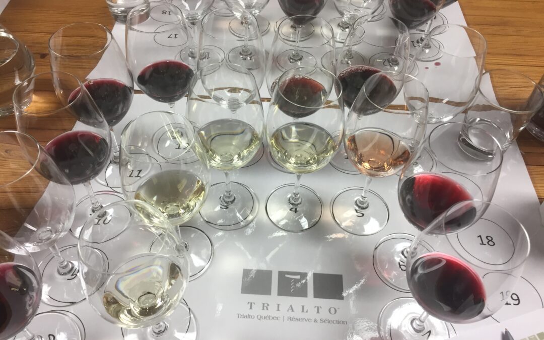 De belles découvertes chez l’Agence Trialto!