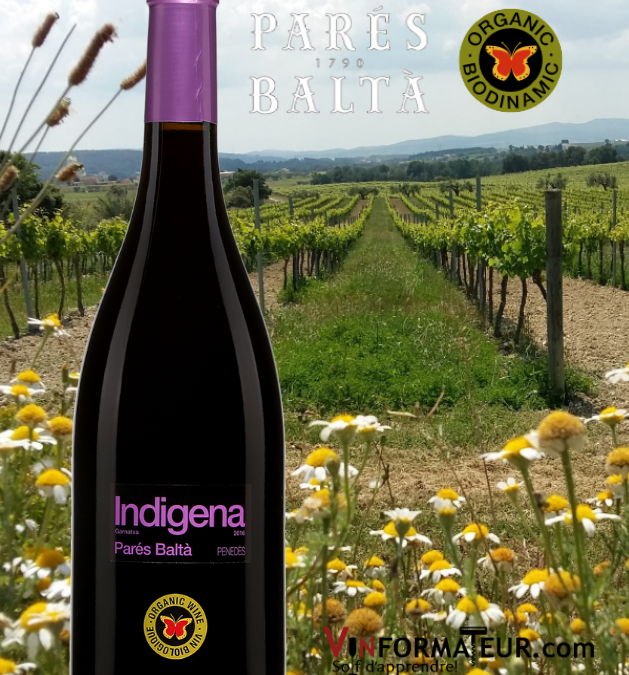 Un très beau Garnacha! Parés Baltà, Indigena 2018.