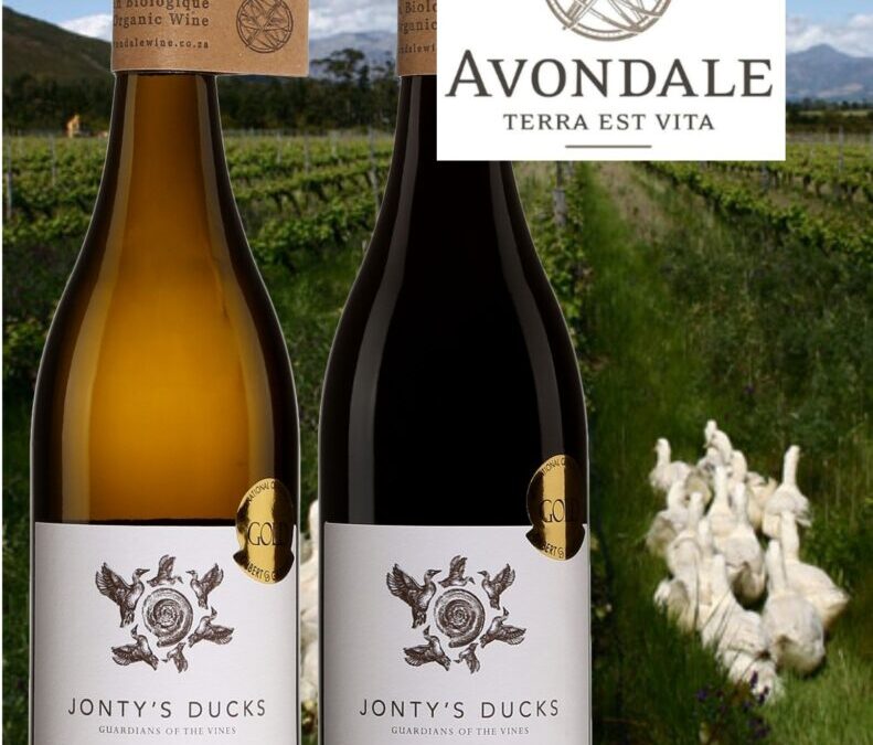 Surprenants ces vins bio Jonty’s Ducks d’Afrique du Sud!