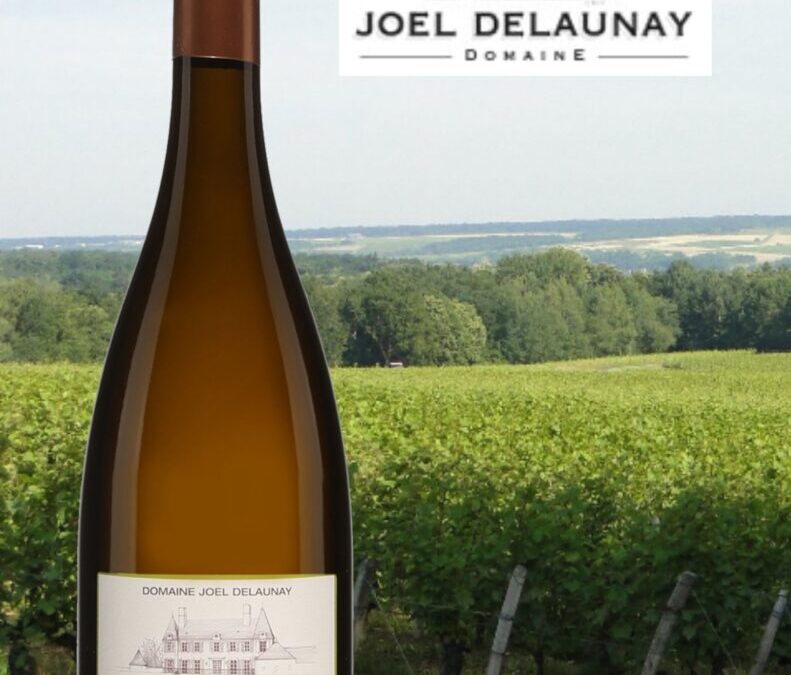 Vous aimez le Sauvignon blanc? Il vous faut alors découvrir La Voûte de l’appellation Chenonceaux.