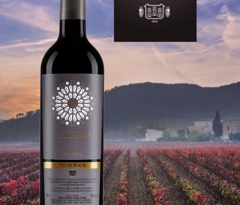 Coup de cœur du Priorat! Laudis, Torres 2018