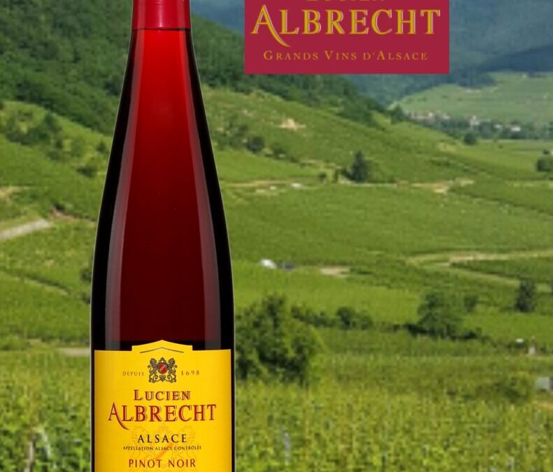 Lucien Albrecht. Un Pinot Noir d’Alsace.