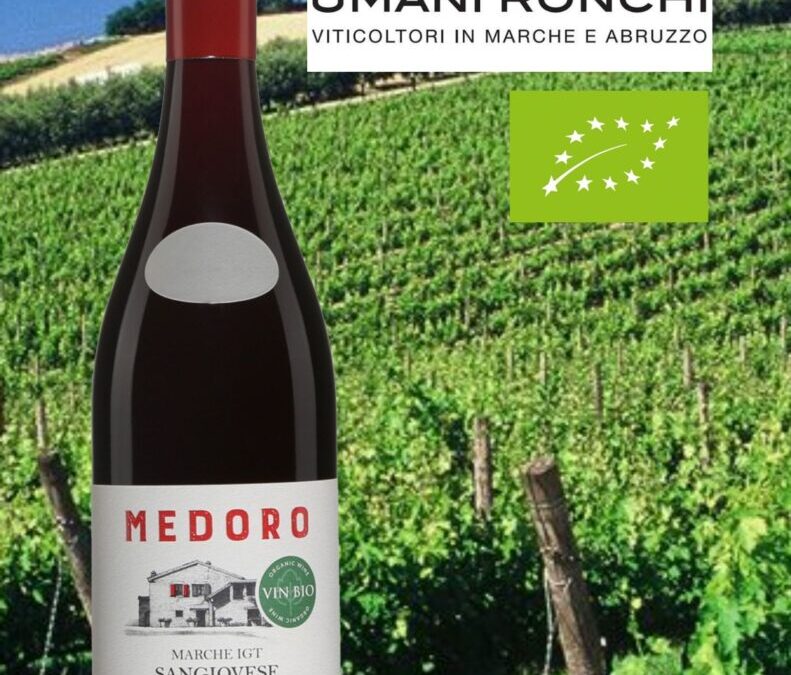 Un beau vin rouge bio d’Italie sous la barre des 10$!!