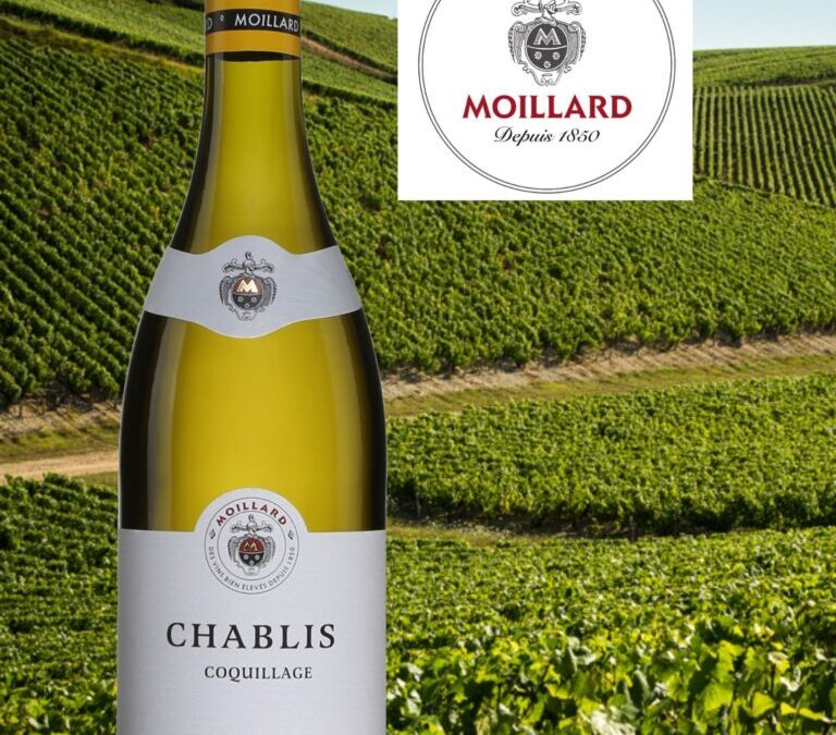 Chablis Coquillage de la Maison Moillard.